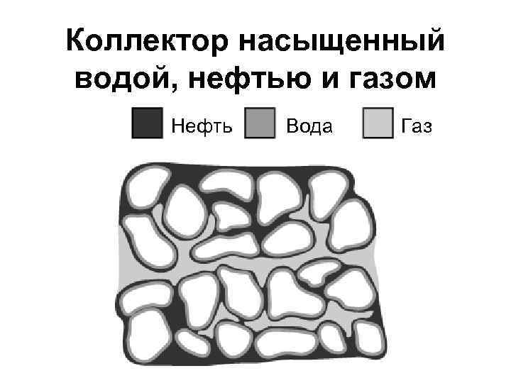 Коллектор насыщенный водой, нефтью и газом Нефть Вода Газ 