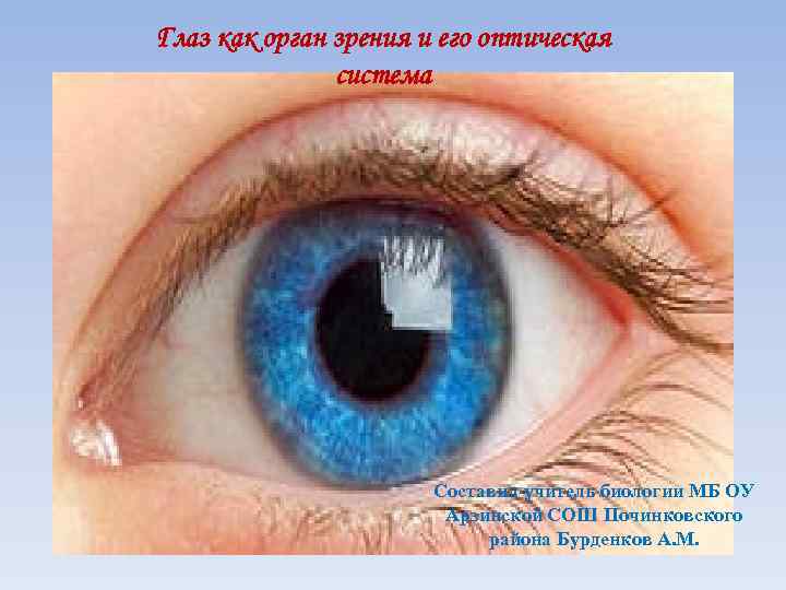 Глаз как орган зрения и его оптическая система Составил учитель биологии МБ ОУ Арзинской