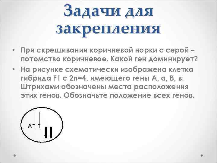 Задачи для закрепления • При скрещивании коричневой норки с серой – потомство коричневое. Какой