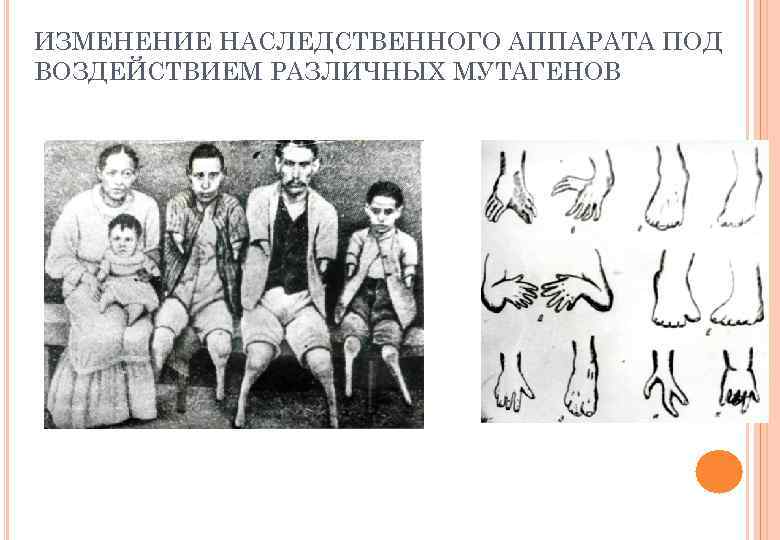 ИЗМЕНЕНИЕ НАСЛЕДСТВЕННОГО АППАРАТА ПОД ВОЗДЕЙСТВИЕМ РАЗЛИЧНЫХ МУТАГЕНОВ 