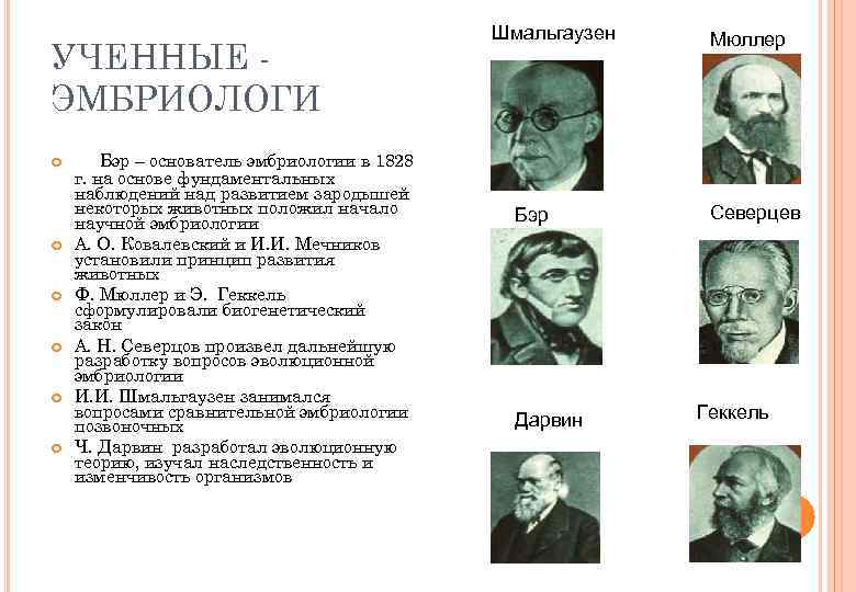 УЧЕННЫЕ ЭМБРИОЛОГИ Бэр – основатель эмбриологии в 1828 г. на основе фундаментальных наблюдений над