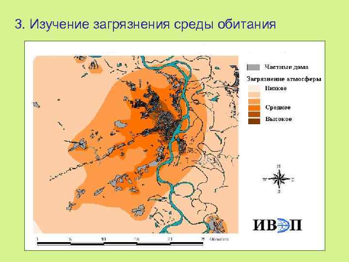 3. Изучение загрязнения среды обитания 