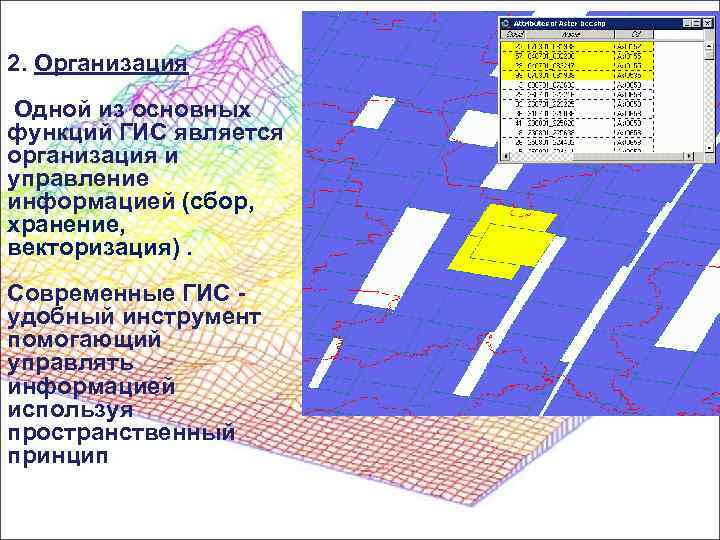  2. Организация Одной из основных функций ГИС является организация и управление информацией (сбор,