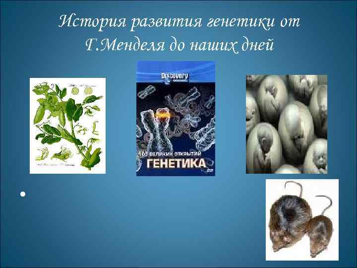 История развития генетики от Г. Менделя до наших дней • 