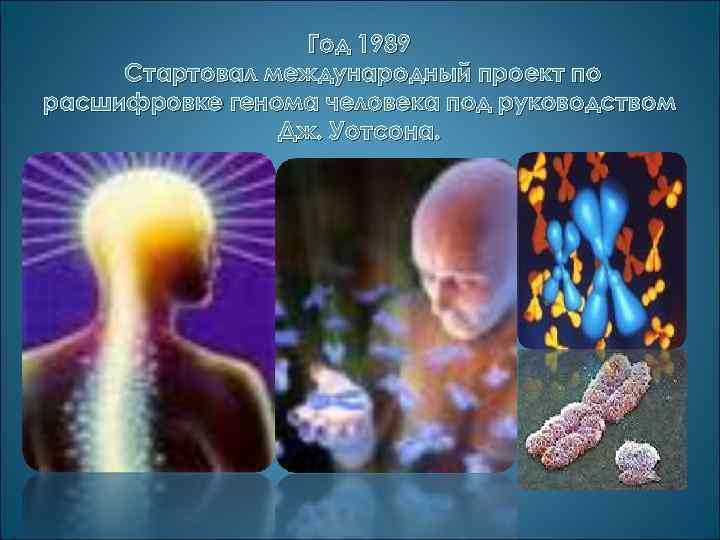 Год 1989 Стартовал международный проект по расшифровке генома человека под руководством Дж. Уотсона. 