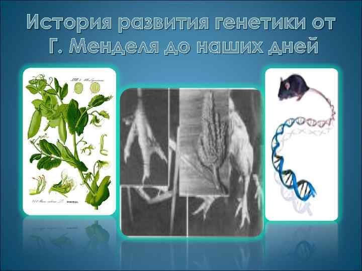 История развития генетики от Г. Менделя до наших дней 