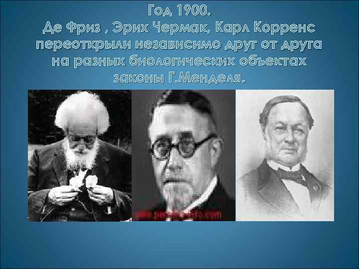 Год 1900. Де Фриз , Эрих Чермак, Карл Корренс переоткрыли независимо друг от друга
