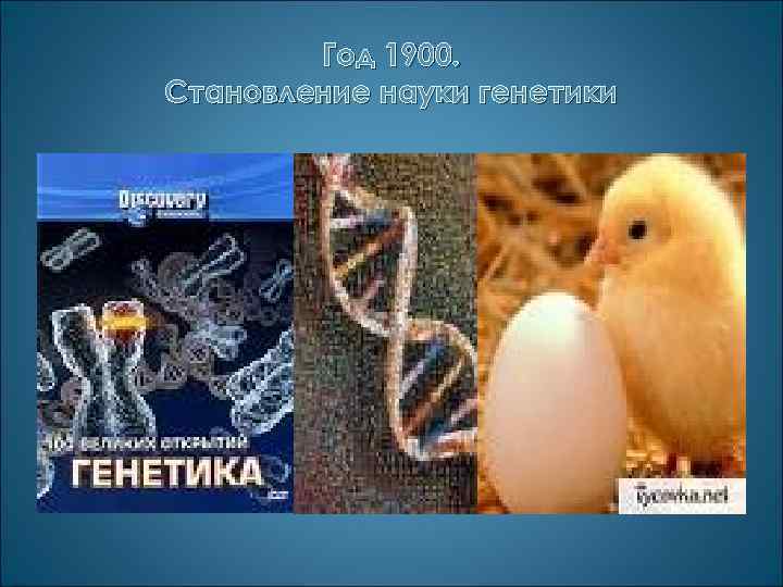 Год 1900. Становление науки генетики 