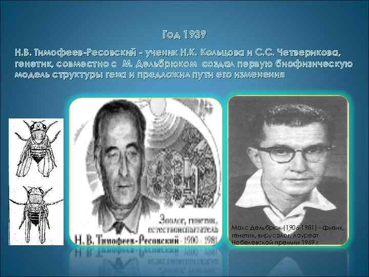 Год 1939 Н. В. Тимофеев-Ресовский - ученик Н. К. Кольцова и С. С. Четверикова,