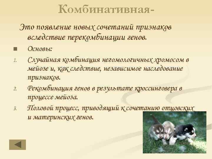 Комбинативная. Это появление новых сочетаний признаков вследствие перекомбинации генов. n 1. 2. 3. Основы: