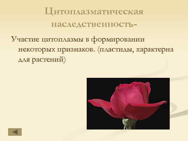 Цитоплазматическая наследственность. Участие цитоплазмы в формировании некоторых признаков. (пластиды, характерна для растений) 