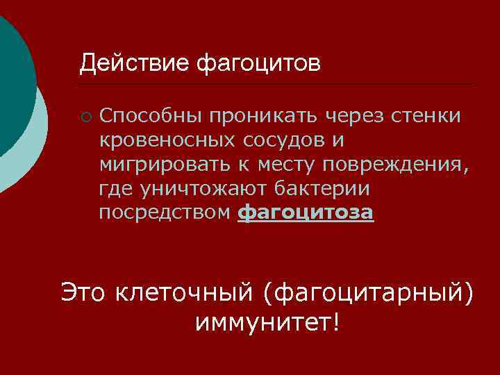 Действие фагоцитов ¡ Способны проникать через стенки кровеносных сосудов и мигрировать к месту повреждения,