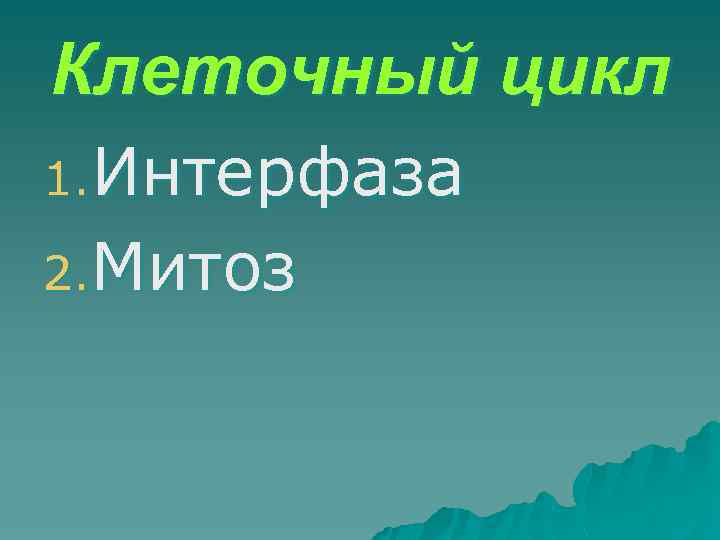 Клеточный цикл 1. Интерфаза 2. Митоз 