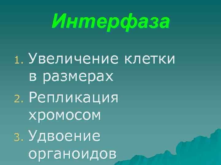 Интерфаза Увеличение клетки в размерах 2. Репликация хромосом 3. Удвоение органоидов 1. 