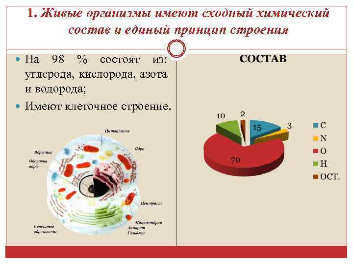 1. Живые организмы имеют сходный химический состав и единый принцип строения На 98 %