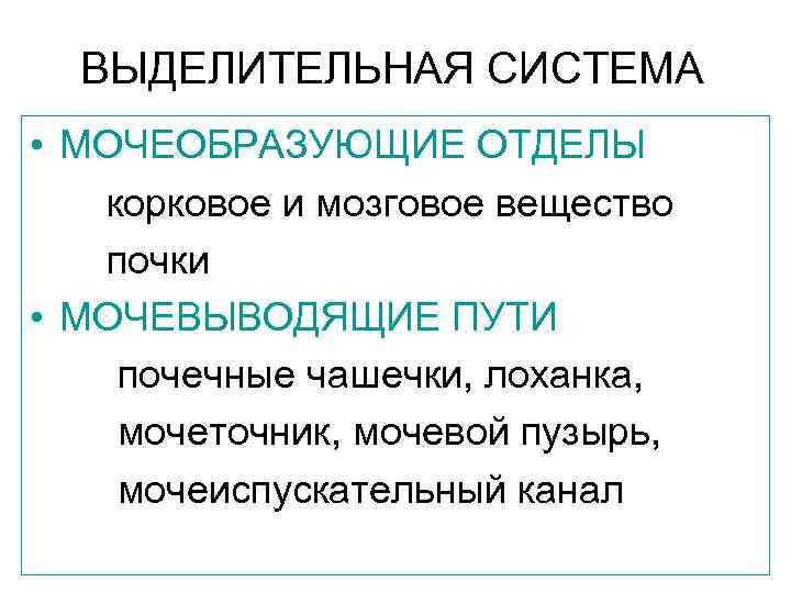 ВЫДЕЛИТЕЛЬНАЯ СИСТЕМА • МОЧЕОБРАЗУЮЩИЕ ОТДЕЛЫ корковое и мозговое вещество почки • МОЧЕВЫВОДЯЩИЕ ПУТИ почечные