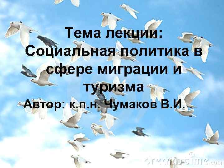 Тема лекции: Социальная политика в сфере миграции и туризма Автор: к. п. н. Чумаков