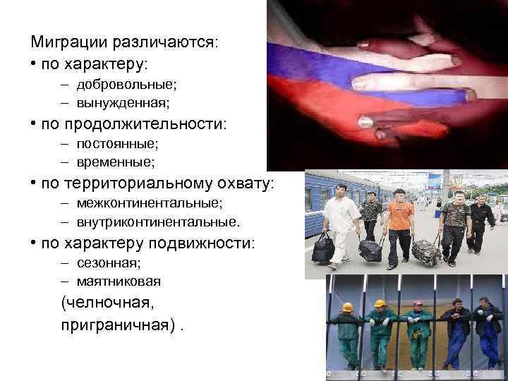Миграции различаются: • по характеру: – добровольные; – вынужденная; • по продолжительности: – постоянные;