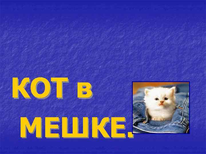 КОТ в МЕШКЕ. 