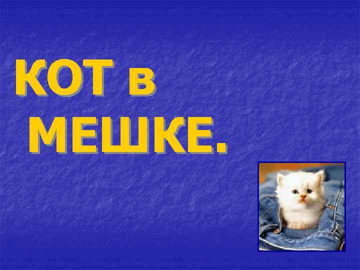 КОТ в МЕШКЕ. 