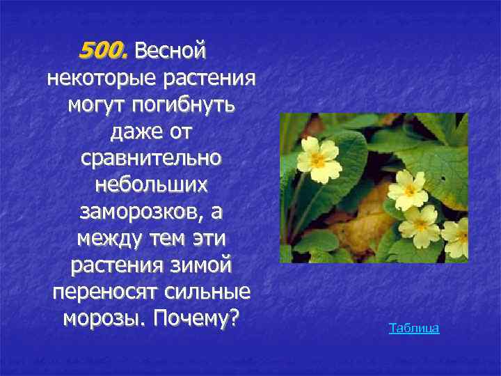 500. Весной некоторые растения могут погибнуть даже от сравнительно небольших заморозков, а между тем