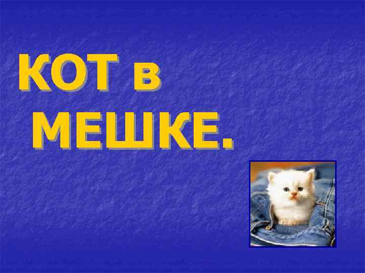 КОТ в МЕШКЕ. 