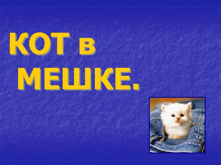 КОТ в МЕШКЕ. 