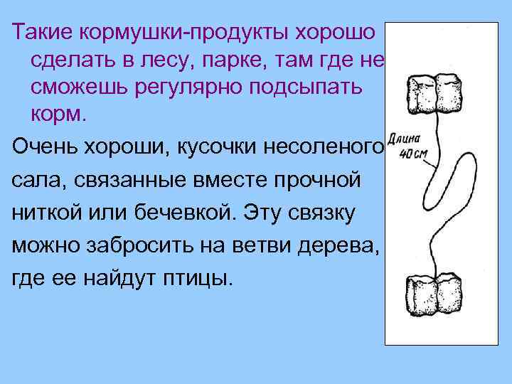 Такие кормушки-продукты хорошо сделать в лесу, парке, там где не сможешь регулярно подсыпать корм.