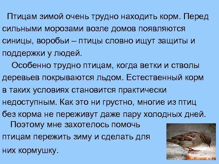 Птицам зимой очень трудно находить корм. Перед сильными морозами возле домов появляются синицы, воробьи
