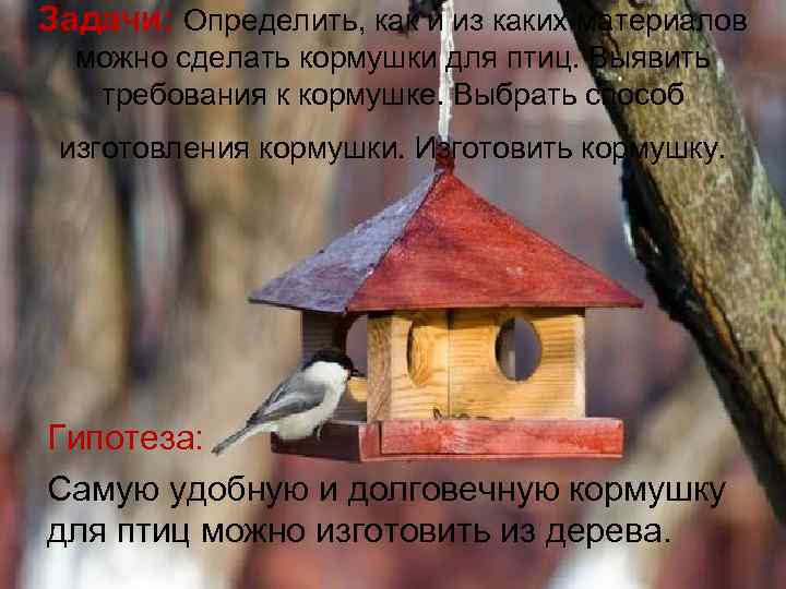 Задачи: Определить, как и из каких материалов можно сделать кормушки для птиц. Выявить требования