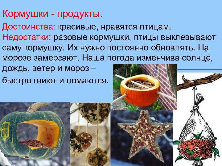 Кормушки - продукты. Достоинства: красивые, нравятся птицам. Недостатки: разовые кормушки, птицы выклевывают саму кормушку.