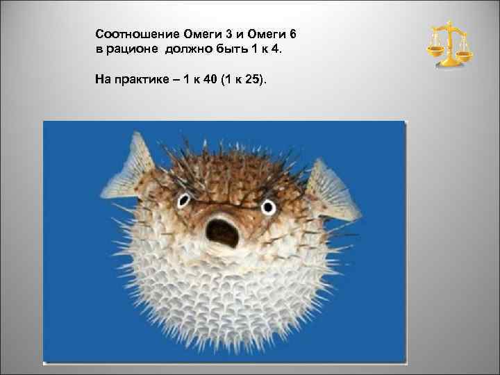 Соотношение Омеги 3 и Омеги 6 в рационе должно быть 1 к 4. На