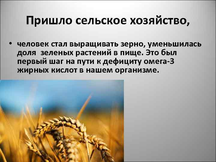 Пришло сельское хозяйство, • человек стал выращивать зерно, уменьшилась доля зеленых растений в пище.