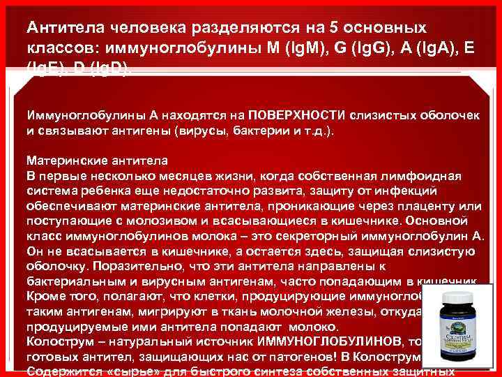 Антитела человека разделяются на 5 основных классов: иммуноглобулины М (Ig. M), G (Ig. G),