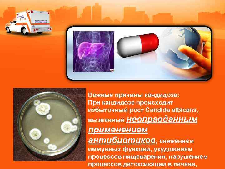 Важные причины кандидоза: При кандидозе происходит избыточный рост Candida albicans, вызванный неоправданным применением антибиотиков,