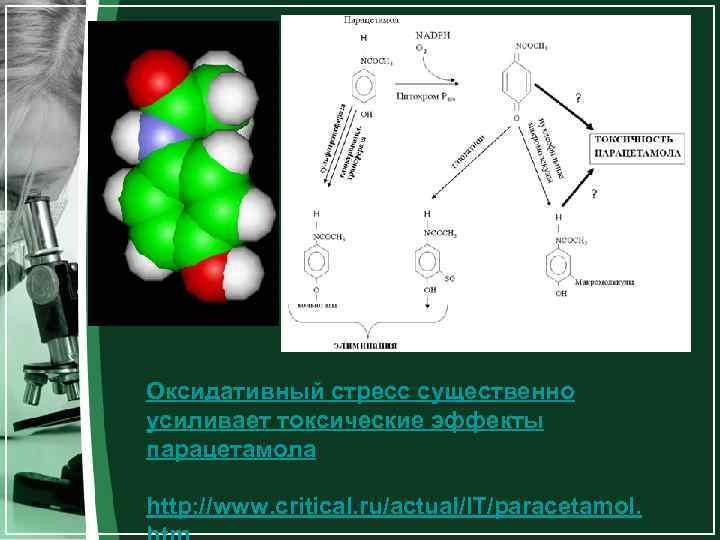Оксидативный стресс существенно усиливает токсические эффекты парацетамола http: //www. critical. ru/actual/IT/paracetamol. 