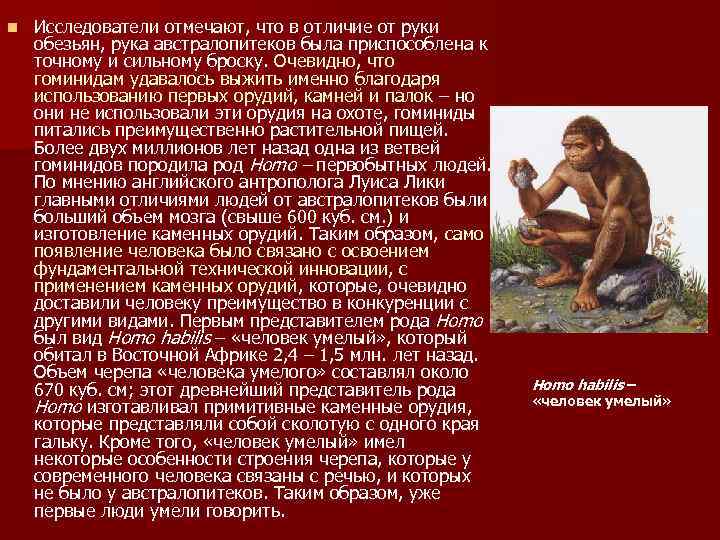 n Исследователи отмечают, что в отличие от руки обезьян, рука австралопитеков была приспособлена к