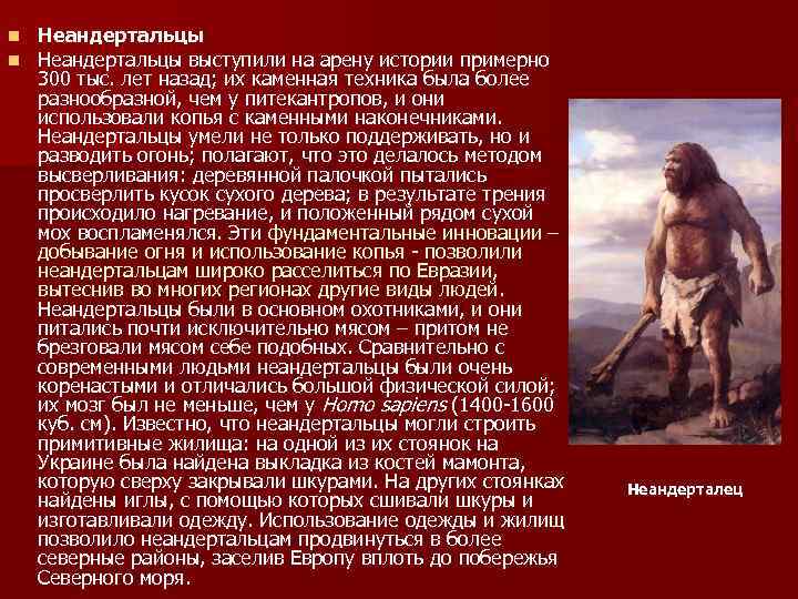 n n Неандертальцы выступили на арену истории примерно 300 тыс. лет назад; их каменная