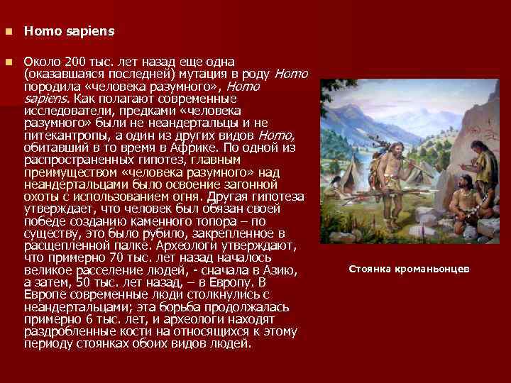 n Homo sapiens n Около 200 тыс. лет назад еще одна (оказавшаяся последней) мутация