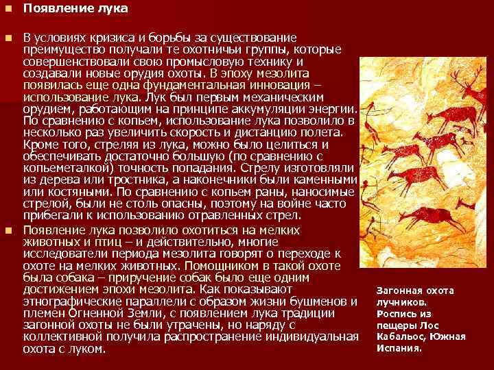 n Появление лука В условиях кризиса и борьбы за существование преимущество получали те охотничьи