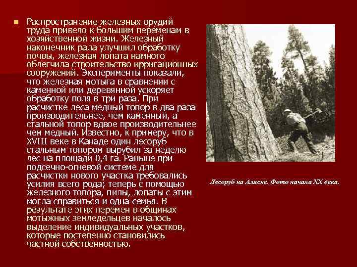 n Распространение железных орудий труда привело к большим переменам в хозяйственной жизни. Железный наконечник
