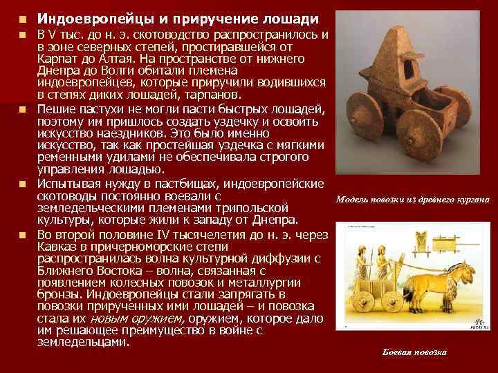 n Индоевропейцы и приручение лошади В V тыс. до н. э. скотоводство распространилось и