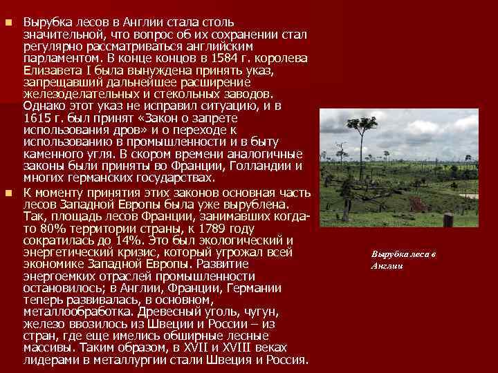 Вырубка лесов в Англии стала столь значительной, что вопрос об их сохранении стал регулярно