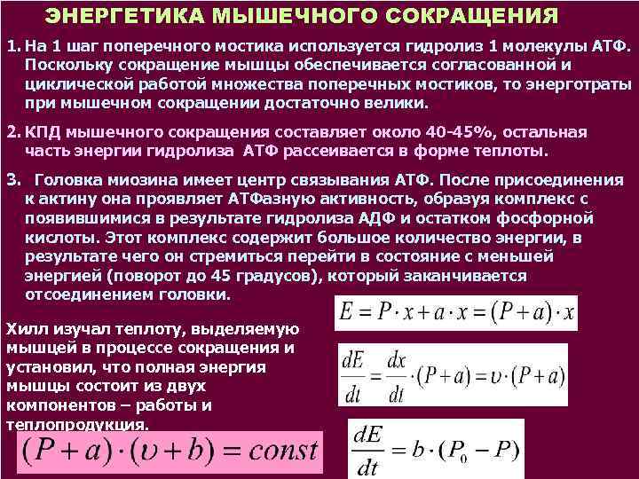 Структурные основы сокращения