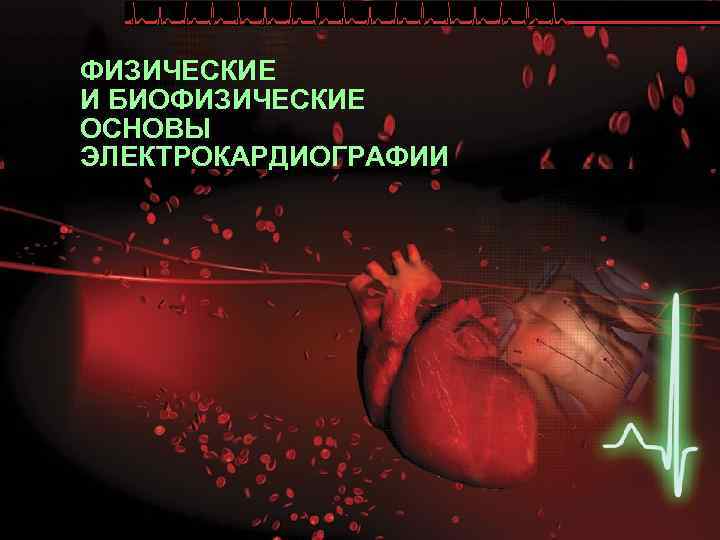 ФИЗИЧЕСКИЕ И БИОФИЗИЧЕСКИЕ ОСНОВЫ ЭЛЕКТРОКАРДИОГРАФИИ 