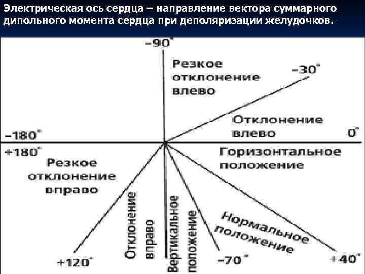 Электрическая ось сердца – направление вектора суммарного дипольного момента сердца при деполяризации желудочков. 