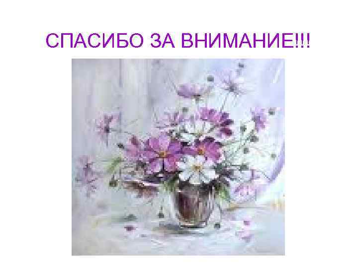 СПАСИБО ЗА ВНИМАНИЕ!!! 