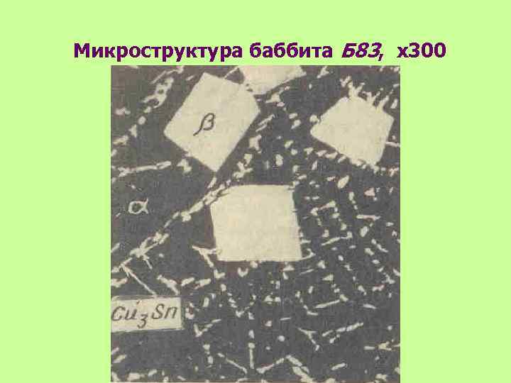 Микроструктура баббита Б 83, х300 