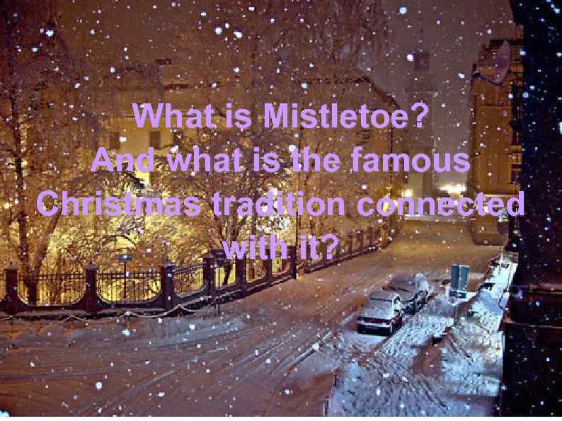 What is Mistletoe? And what is the famous Christmas tradition connected with it? 