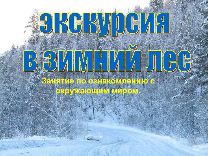 Занятие по ознакомлению с . окружающим миром. 